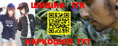 бошки Дубна