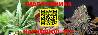 ешки Донецк