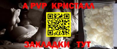 спиды Донской