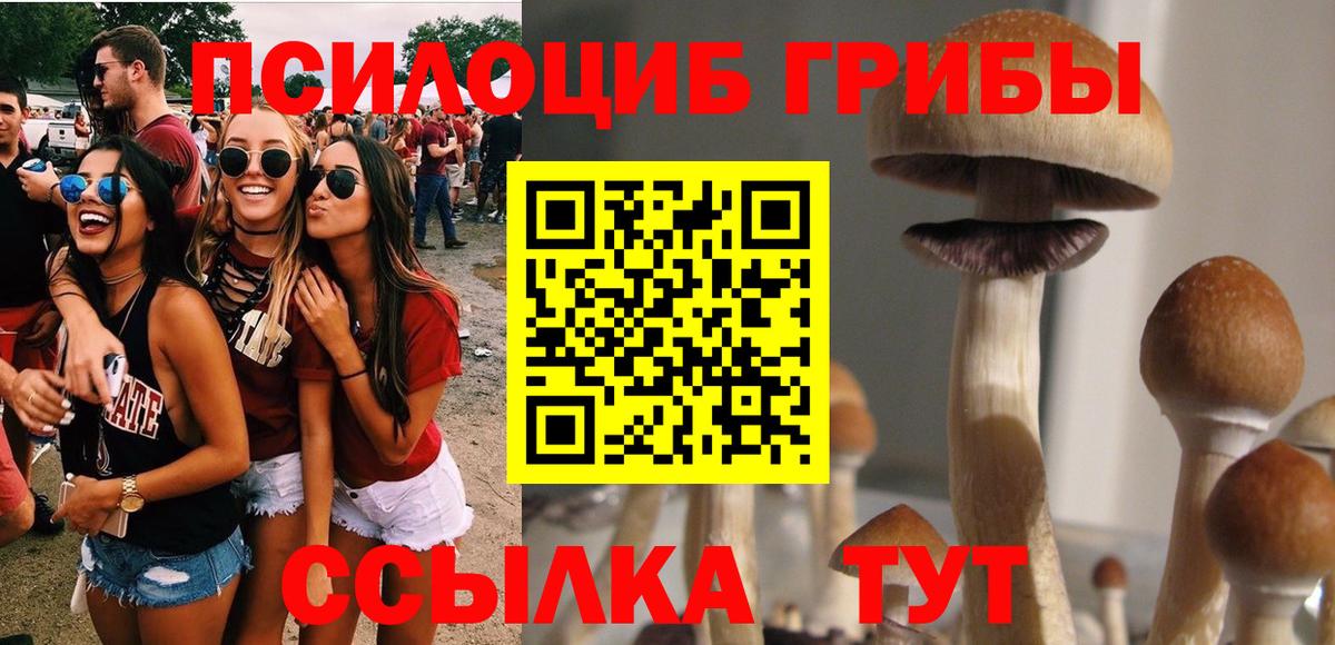 Минусинск  Галлюциногенные грибы мицелий  Вход с VPN  Галлюциногенные грибы Cubensis 