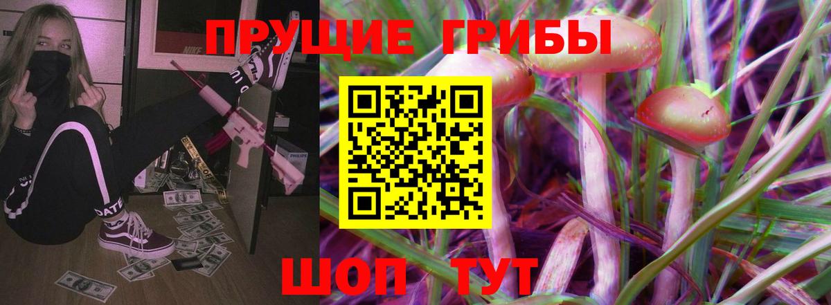 Псилоцибиновые грибы Cubensis Минусинск